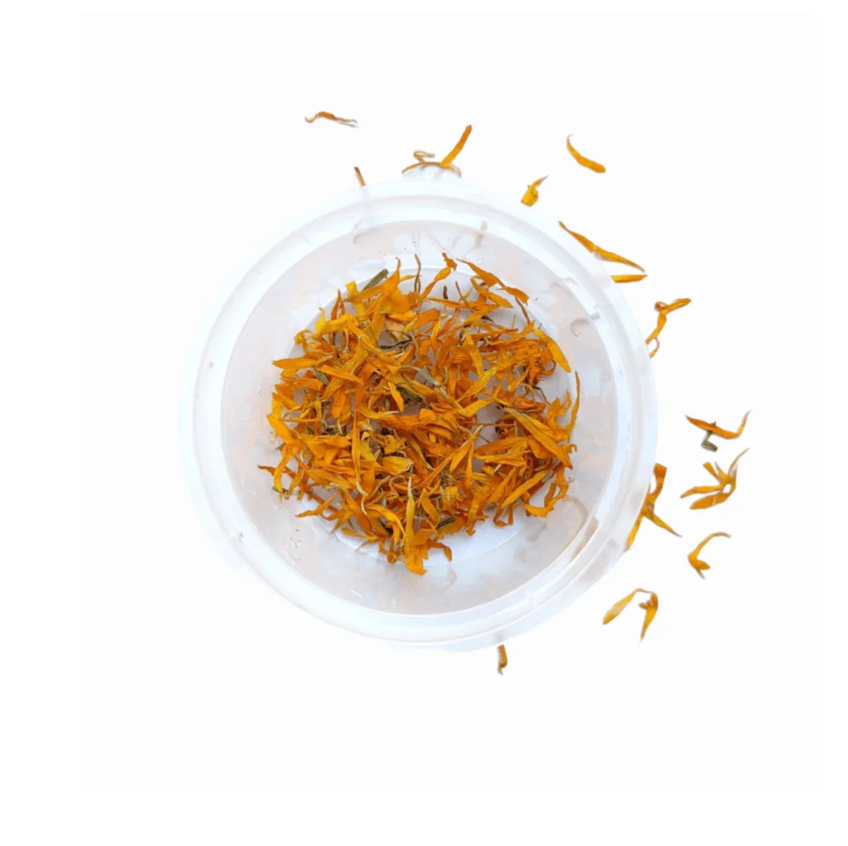 Pete & Will's Edible Orange Calendula - unitedbakerysupplies